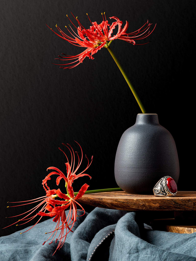 Red Spider Lily Dark Vase Still Life Composition