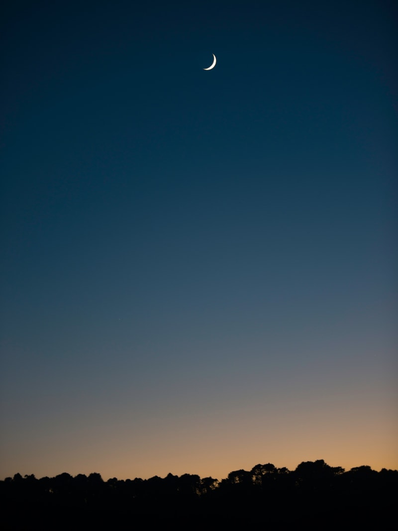 Crescent Moon Twilight Forest Silhouette Evening Sky