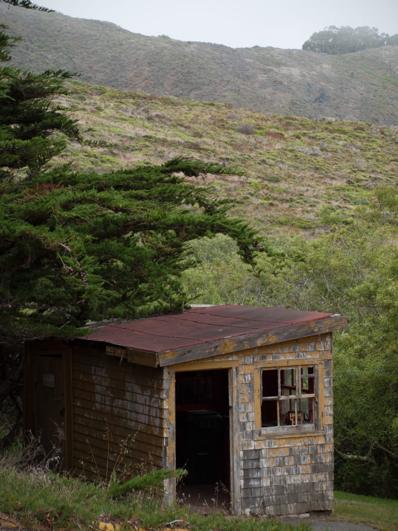 Weathered Coastal Cabin Misty Hills Rustic Landscape