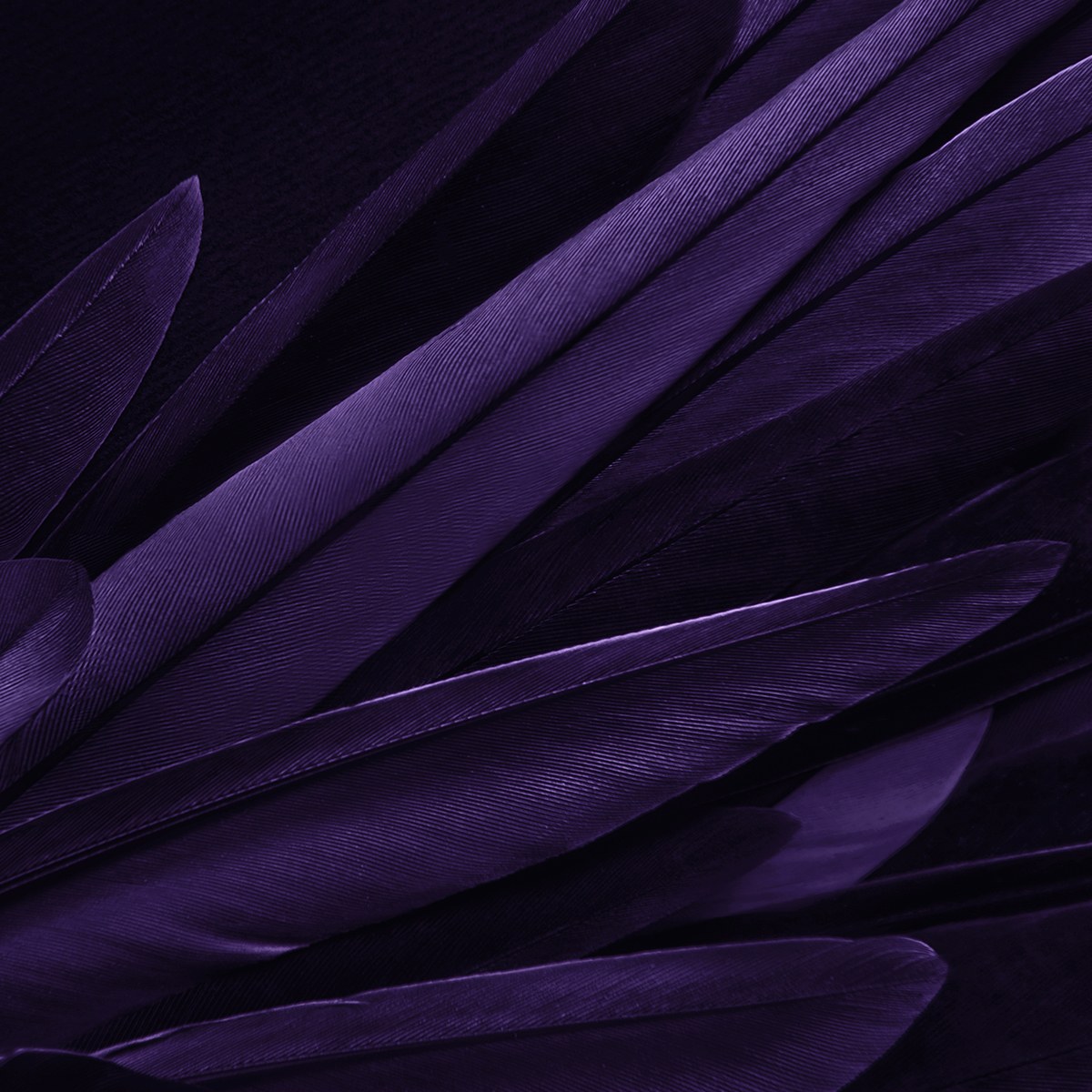 NIESSING COLOR PURPLE GRAY