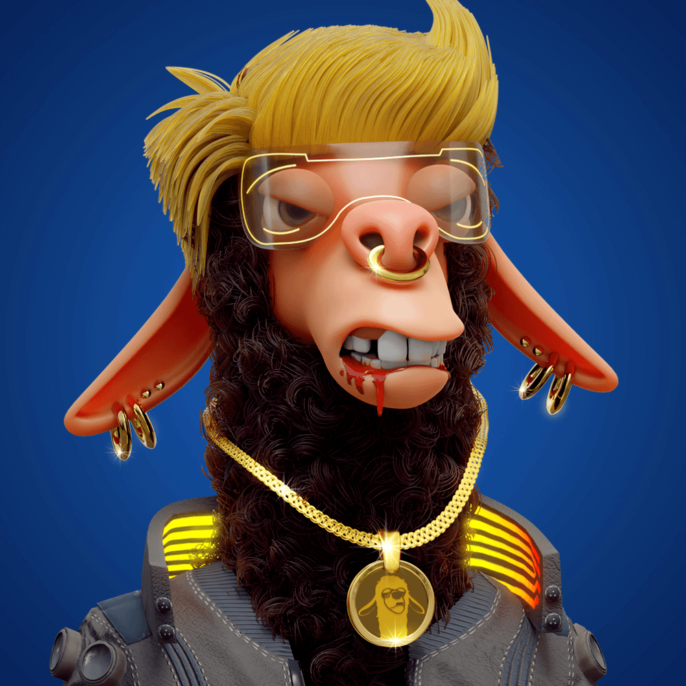 Laid Back Llamas  Collection 