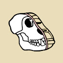 Anatomy Science  Ape Club
