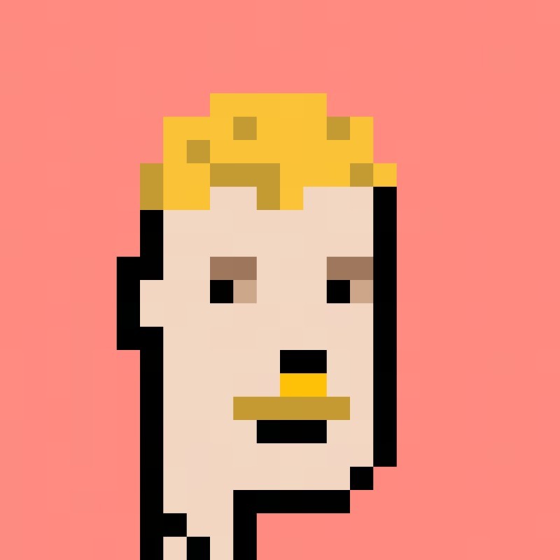 The Pixel  Portraits