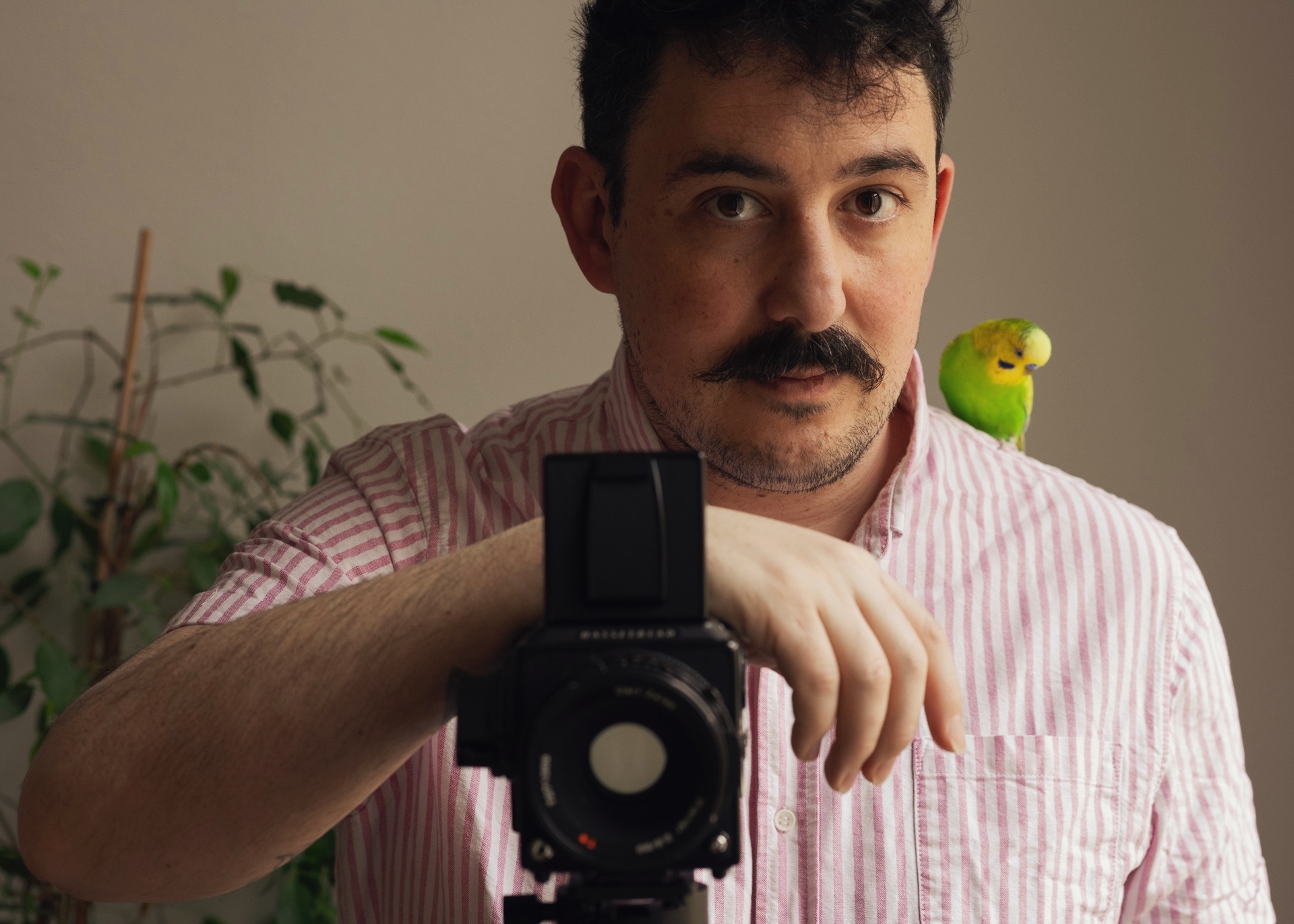 Nicolas Levy