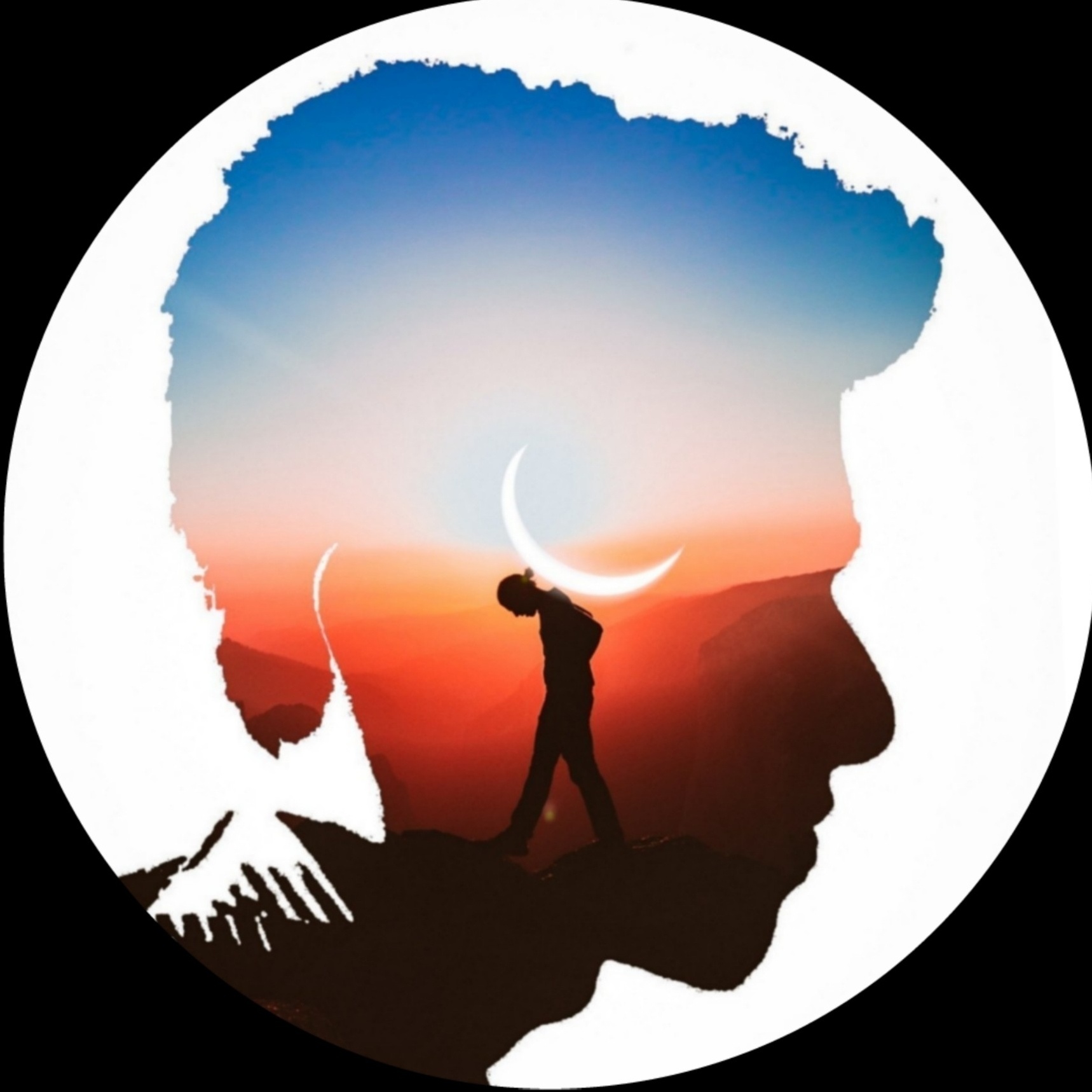 Vivek Visuals