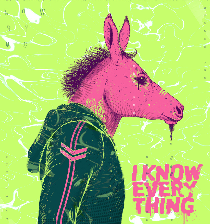 Mr.Donkey