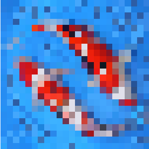 Koi io