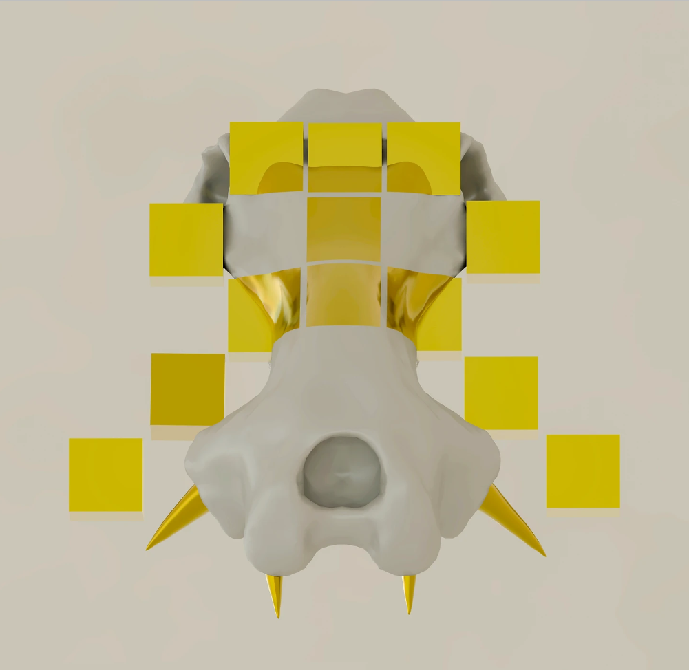 Hippo Invader