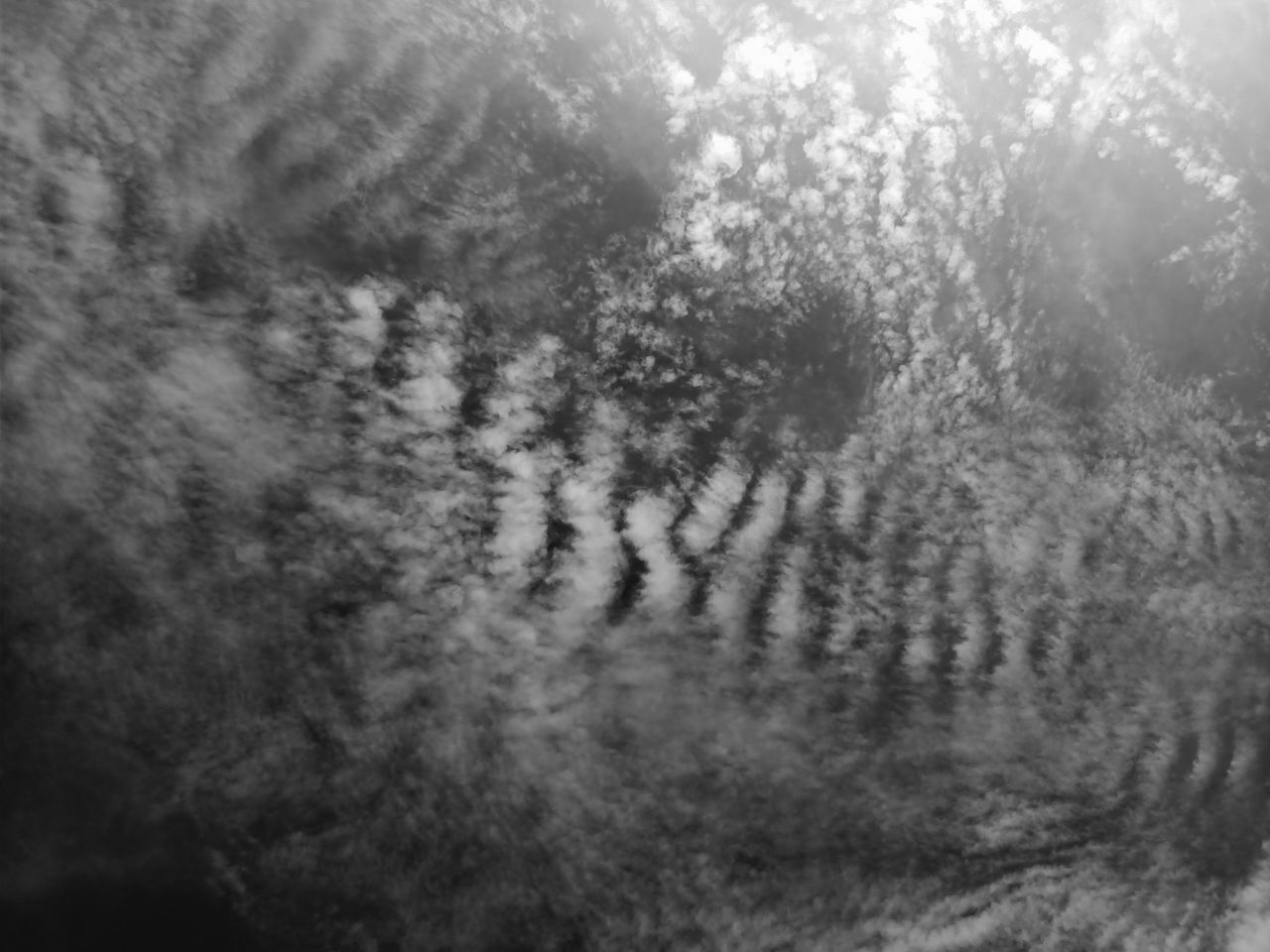 FormeCondensate - CondensedShapes