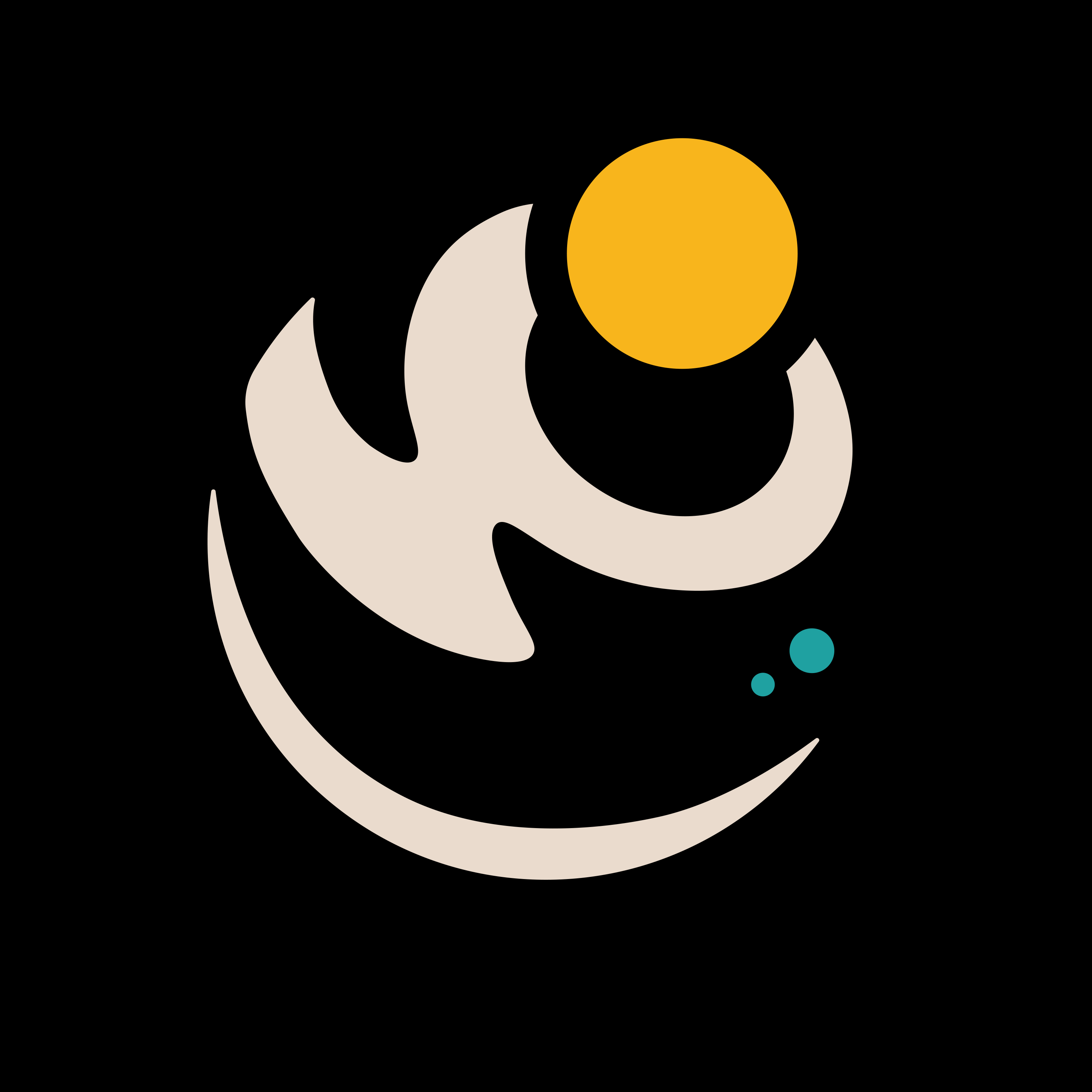 Rising Collective