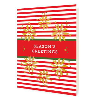Stripes - Box of 8