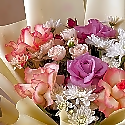 🌹 Rose & Shay: The Essence of Elegance view 2