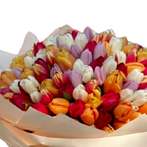 Lovely Multi Color Tulips view 2