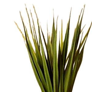 Artificial Pandanus Plant. view 2