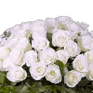Graduation perfume and cake gift 18 view 2