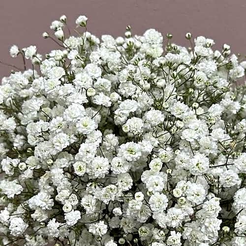 Gypsophila wedding bouquet view 2