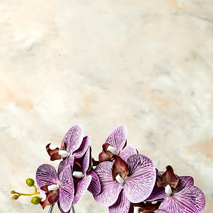 Lilac Orchid Gift Arrangement by NJD view 2