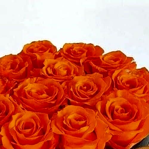 Orange Rose Flowers in a Box view 4