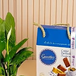 Gavottes with chocolate with lily plant view 2