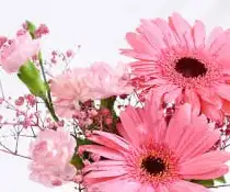 Cancer Flowers 4 view 2