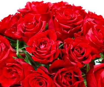 Glass full of roses view 2