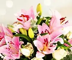 Birthday Gift Combo by Nigwa 12 view 2
