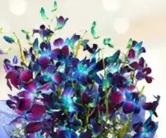 Birthday Gift Combo by Nigwa 15 view 2