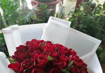 Red roses bouquet with a white wrapper N view 2