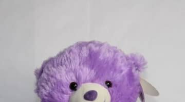 Teddy Bear violet light color N view 2