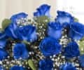 Blue as your eyes view 2