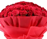 HOT RED ROSES 2 view 2