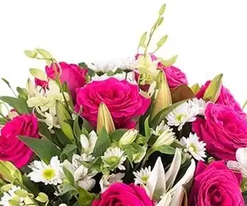 PINK ROSES AND LILIES LOVE view 2