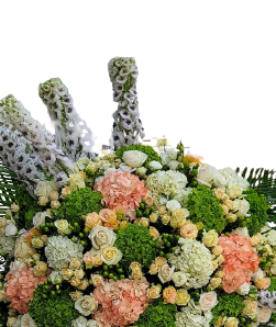 White and Creamy Orange Mix Stand view 2