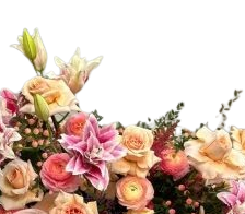 Gorgeous Pink and Green Mix view 2