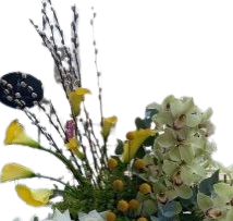 White and Yellow view 2