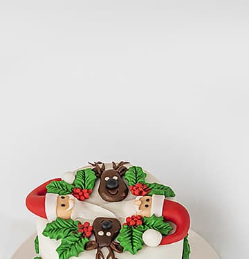 Santa and Reindeer Christmas Cake By NJD view 2