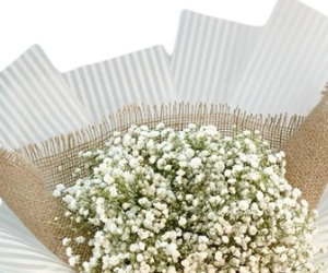 Gypsum grain bouquet 3 view 2