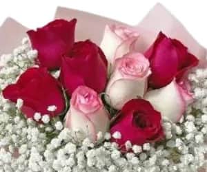 Red & Pink Roses Bouquet view 2