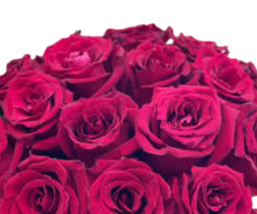 Rose box 51 view 2