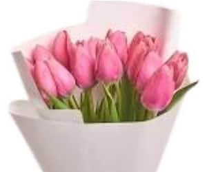 Capricorn Flowers 1 view 2