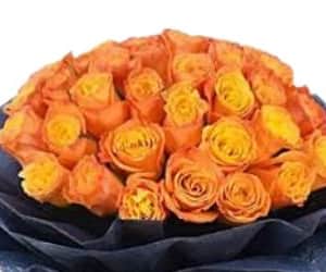 Gemini Flowers 2 view 2