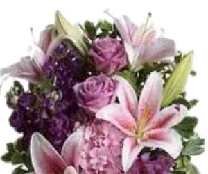 Taurus Flowers 2 view 2