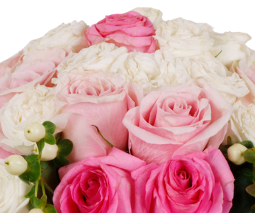 Shades Of Pink view 2