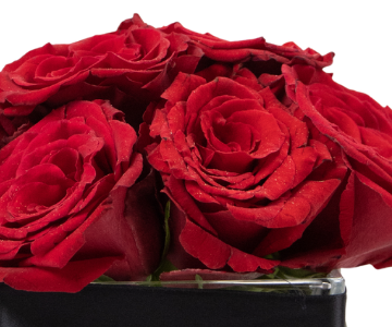 Rose Vase Arrangement view 2