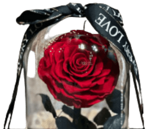 Forever Rose - blue with ribbon view 2