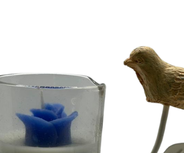 Bird with candle view 2