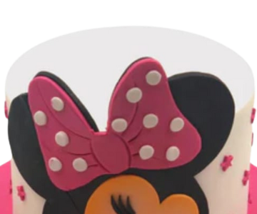 Minnie 2D Cake view 2