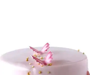 Butterflies Cake view 2