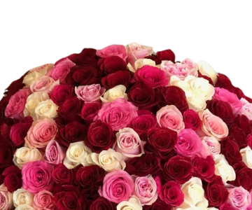 Love Bomb of flowers view 2