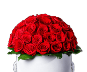 forever gifts for anniversary  23 view 2